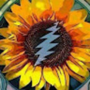 Meet your Posher, Brianne